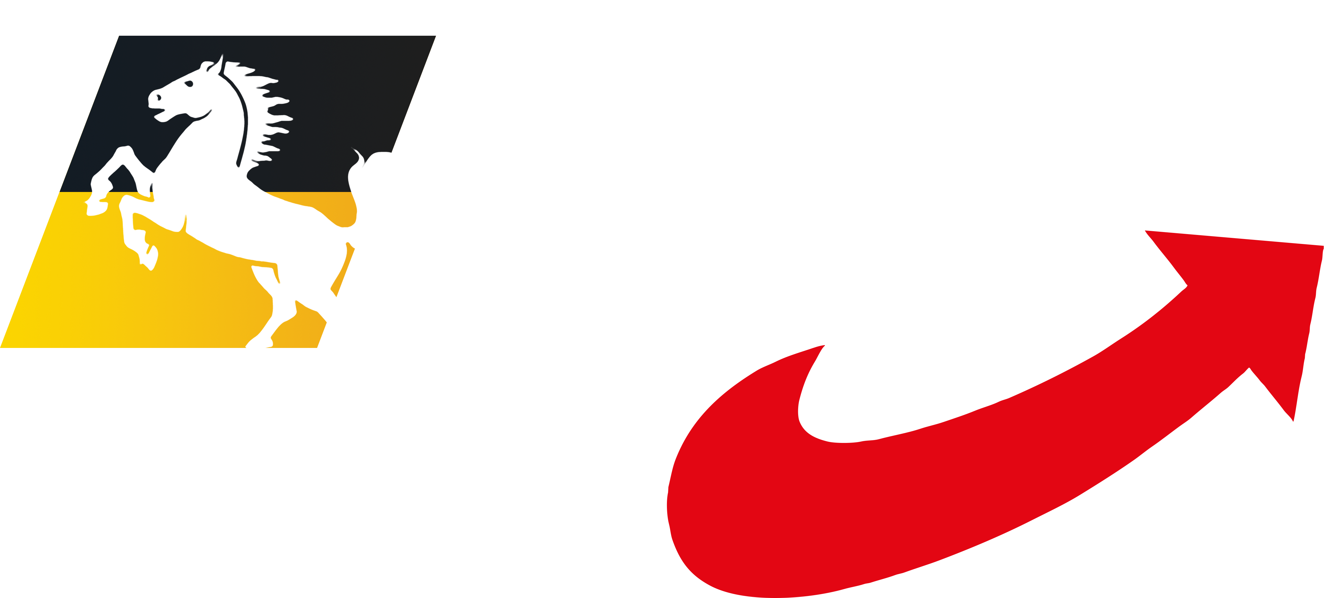 Shop AfD Kreisverband Stuttgart